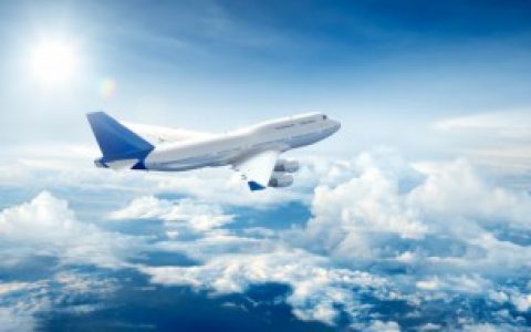 羊肉能不能带到飞机上,飞机上可以带羊肉吗