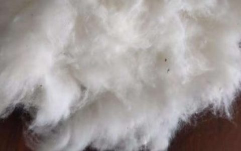 纯棉花能不能清水洗,纯棉花能清水洗吗