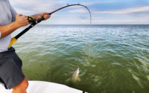 子线用什么材质的线好,钓鱼子线用什么线好