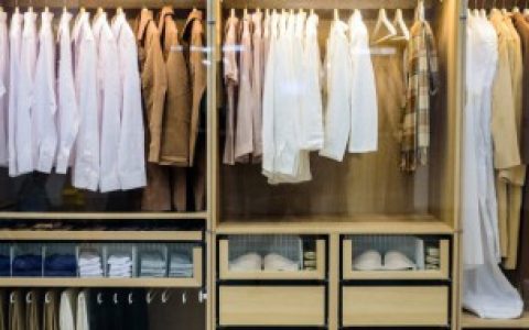 衣柜里放什么可以防潮防霉防虫,衣柜防虫防霉放什么好