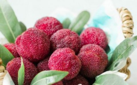 怎么才能让新鲜的杨梅长时间保存 杨梅如何长时间保存