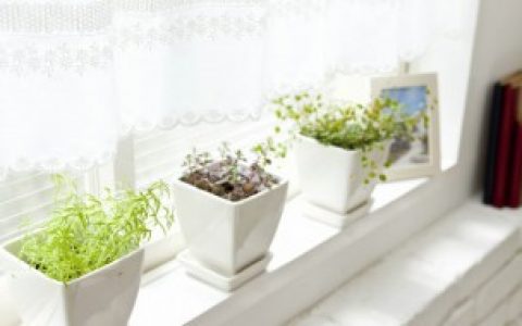 老人须干枯怎么办 如何解决老人须干枯