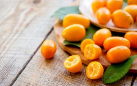 【金橘一次泡几朵】金橘一次泡几朵合适