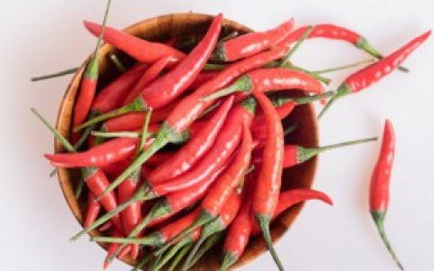 辣椒树为什么不结辣椒 辣椒树为什么不结果