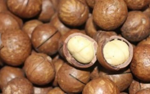 夏威夷果怎么看新鲜不新鲜（夏威夷果有办法看新鲜不新鲜吗）