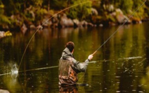 【钓胡子鱼用什么饵最好】钓鲶鱼用什么饵