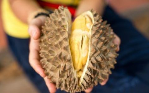 什么是榴莲三房肉（榴莲三房肉什么意思）