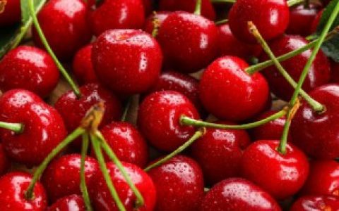 车厘子怎么种（车厘子怎样种植）