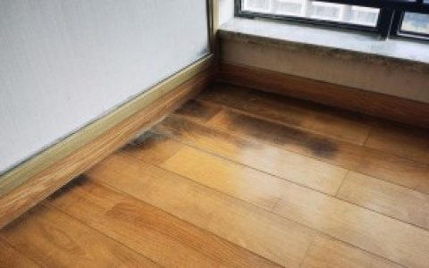 【实木地板底下发霉了怎么办】实木地板底下发霉了怎么处理