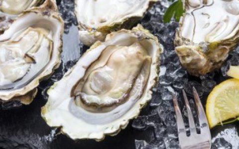 【什么季节吃生蚝最肥】吃生蚝最肥是什么季节