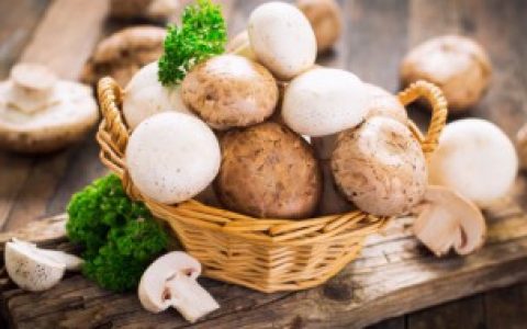 【保存菌类的方法有哪些】菌类怎么保存