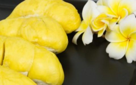 第一个吃榴莲的人是谁 第一个吃榴莲的人是郑和吗