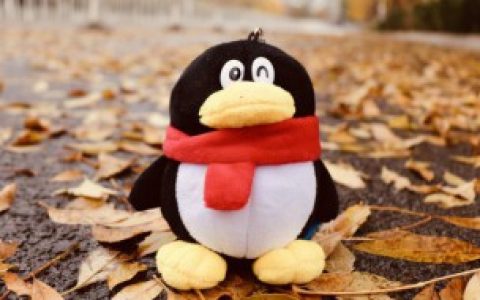 qq怎么删除好友（手机qq如何批量删除好友）