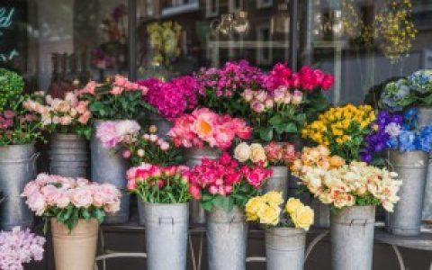 过年送花有讲究吗（过年送花要注意什么）