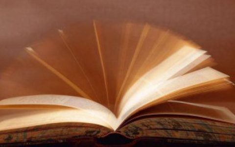 带暖心的网名女生（森系文艺治愈名字）