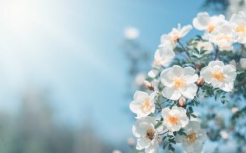 春天几月（春天是几月至几月）