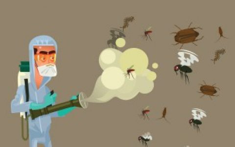 教室有蚊子咋办,教室有蚊子怎么办