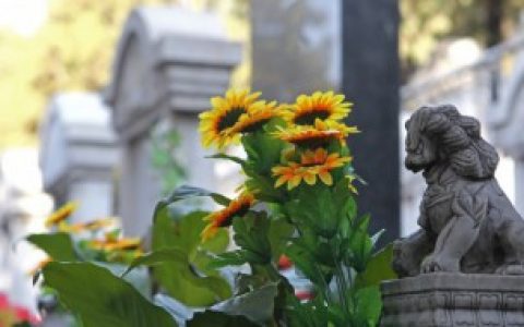 公墓中最好的位置在哪里 公墓中位置在什么最好的