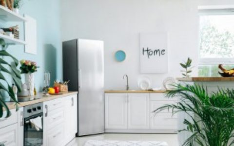 【冰柜移动后如何清理】冰柜移动后怎么清理