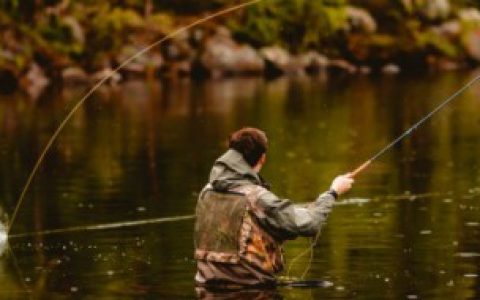 【夏天怎么钓鱼又快又好】夏天钓鱼又快又好方法