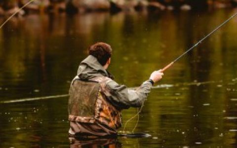 【泥鳅晚上如何钓鱼】泥鳅晚上怎么钓鱼