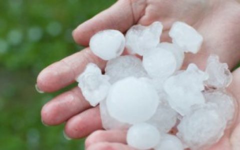 舌头粘冰上如何办（舌头粘冰上怎么办）