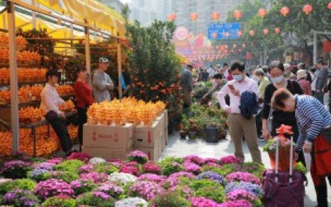 春天红色的植物有哪些 春天红色的植物有什么