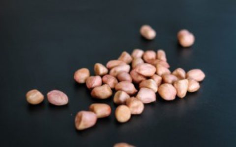 人工发芽的花生可以吃,生花生生芽了还能吃吗