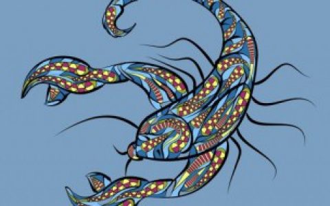 活蝎子直接放冰箱冷冻可以吗（活蝎子能放冰箱吗）