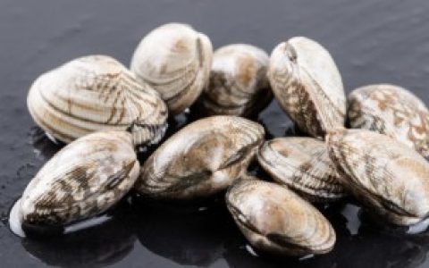 花蛤如何挑选（花蛤怎么挑选）