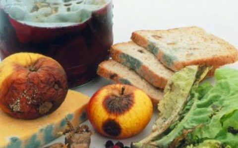 发霉的食物如何处理（发霉的食物怎么处理）