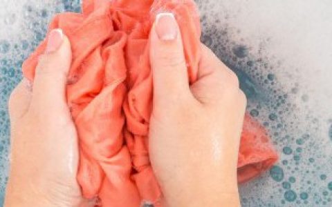 丝绒的衣服如何清洗（丝绒的衣服怎么清洗）