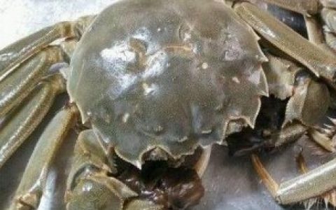 螃蟹放冰箱里第二天还能吃吗 螃蟹放冰箱里第二天还能不能吃
