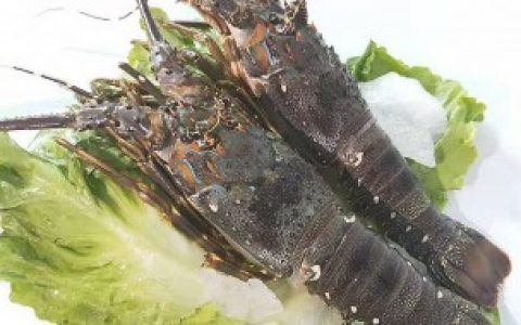 小青龙虾蒸多久能熟 小青龙虾蒸多长时间能熟