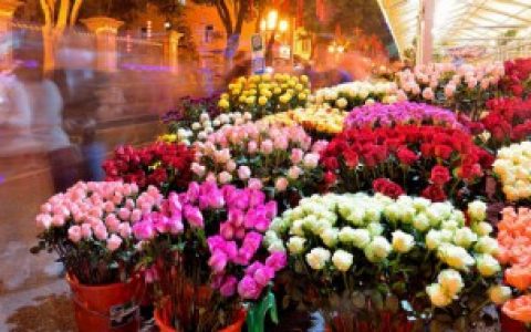 为什么很多花卉常采用无性繁殖,为什么有些花卉需要无性繁殖