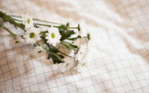 特丽纶是什么面料,特丽纶的简介