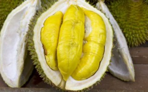 榴莲可以晒太阳吗,榴莲能不能晒太阳