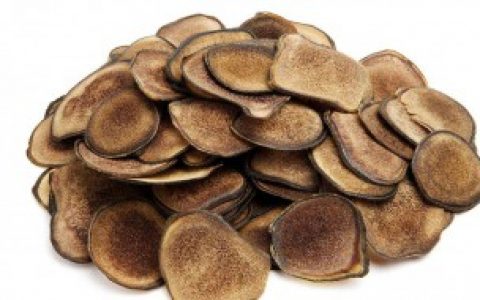 【什么是鹿茸】鹿茸是什么东西