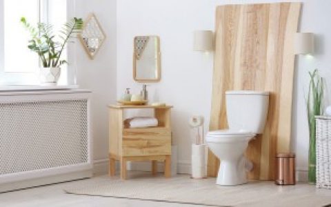 厕所的尿味用什么去除,厕所的尿味用如何去除