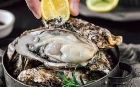 如何养殖生蚝（生蚝的养殖方法）