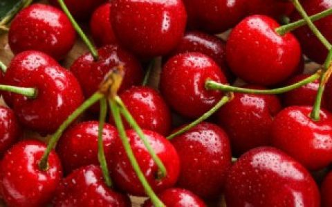 樱桃怎么挑选 正确选择樱桃方法