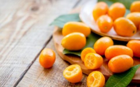 【金桔怎么储存】金桔的储存方法