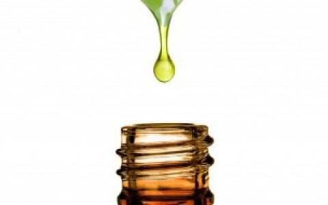 茶油要煮多久才能用,茶油需要煮熟才能吃么