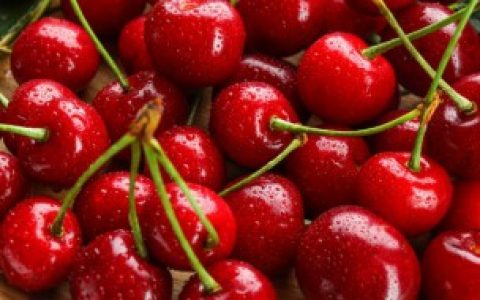 【冬天车厘子是不是反季节水果】冬天车厘子是反季节水果吗