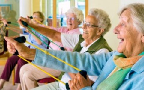 【本命年有什么意义】网络上的本命年是什么意思