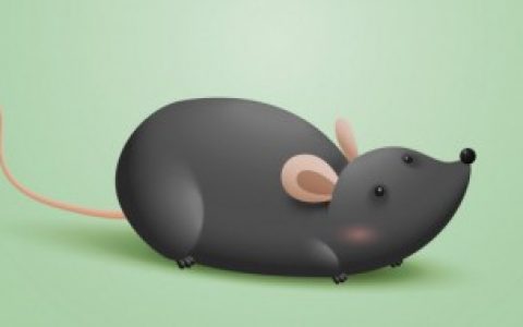 【老鼠能不能听懂人话】老鼠能听懂人话吗