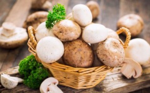 菌菇怎么保存（菌菇的保存方法）