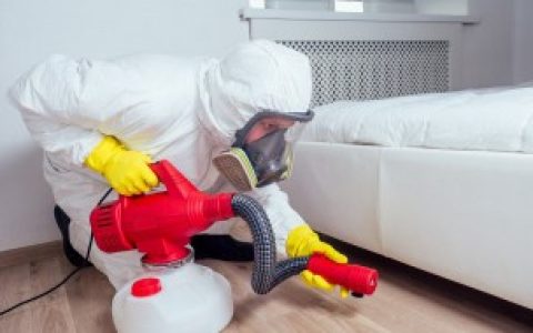 家里有蟑螂蜈蚣如何处理（家里有蟑螂蜈蚣怎么办）