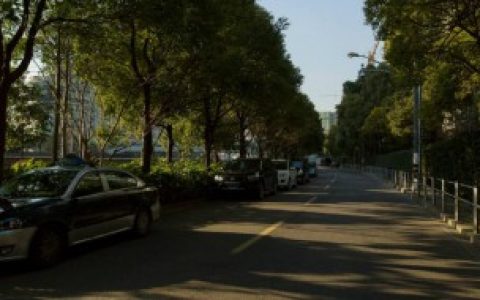 路盲和路痴的区别,路盲和路痴的区别介绍