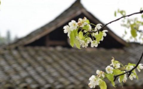 清明节可以出行吗,清明节可以正常出行吗